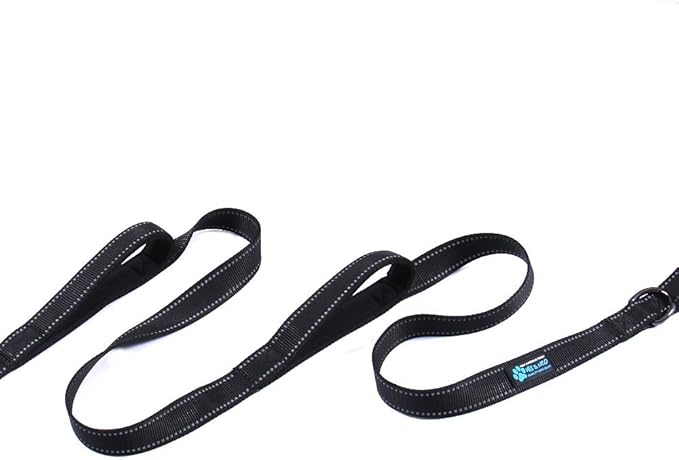 Max and Neo Triple Handle Traffic Dog Leash - Reflective, Donates to Dog Rescue (Teal)