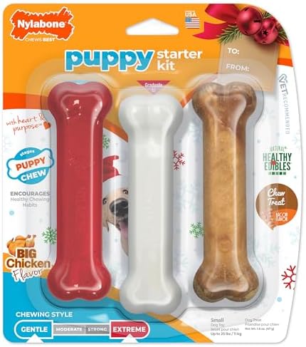 Nylabone Puppy Chew Holiday Puppy Starter Kit Dog Chew Toy, 3 Count | Dog toys for small dogs up to 25 lbs, chicken flavor puppy chew toys, bacon flavor chew treat, great for puppy teething