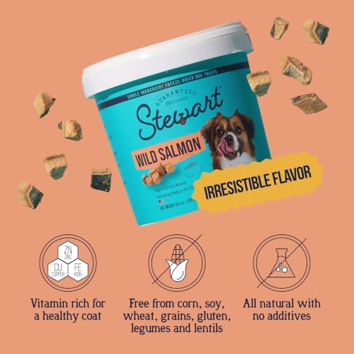 Stewart Freeze Dried Dog Treats, 100% Wild Salmon, 2.75 oz Tub
