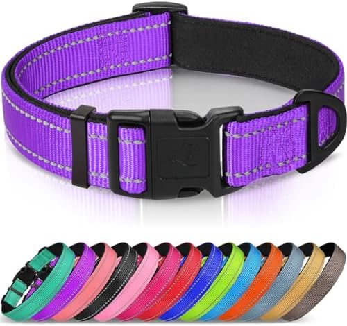 Joytale Reflective Dog Collar, Adjustable Neoprene Padded, Purple S