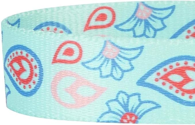 Blueberry Pet 5 Colors Paisley Flower Print Dog Leash with Soft & Comfortable Handle, 4 ft x 1", Pastel Blue, Large, Leashes for Dogs