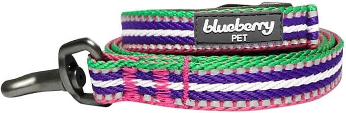 Blueberry Pet Dog Leash - Reflective, Strong & Comfortable | Pinch Collar for Dogs & Puppy Essentials | Heavy Duty Dog Leashes for Large & Medium Size | Gentle Leader Products
