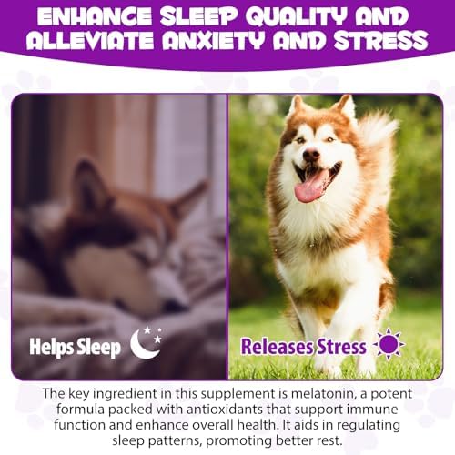 Dog Melatonin, Small
