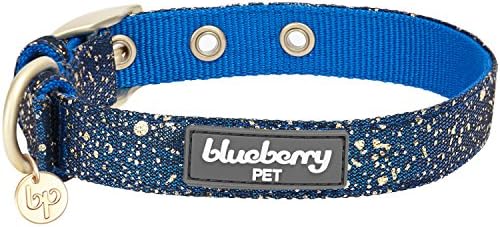Blueberry Pet Gold Stamping Lace Adjustable Dog Collar in Classy Navy, Neck 9-12.5", for Small Breed