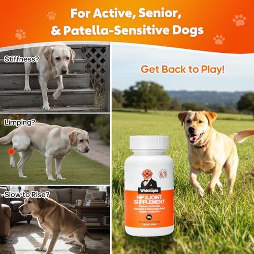 Hip & Joint Chews for Dogs, Mobility & Flexibility Support, 120 Ct