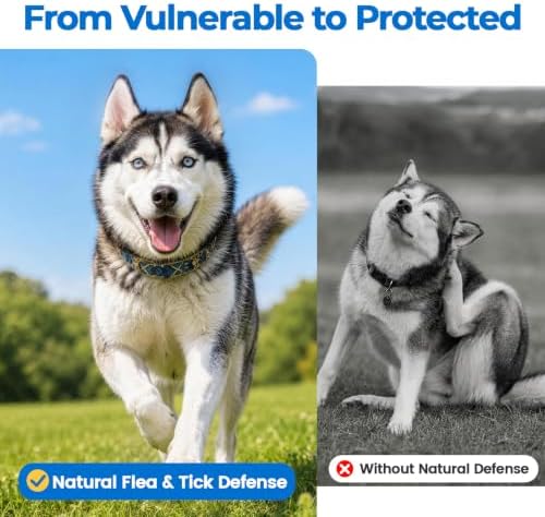 Flea and Tick Soft Chews for Dogs, 120 Count