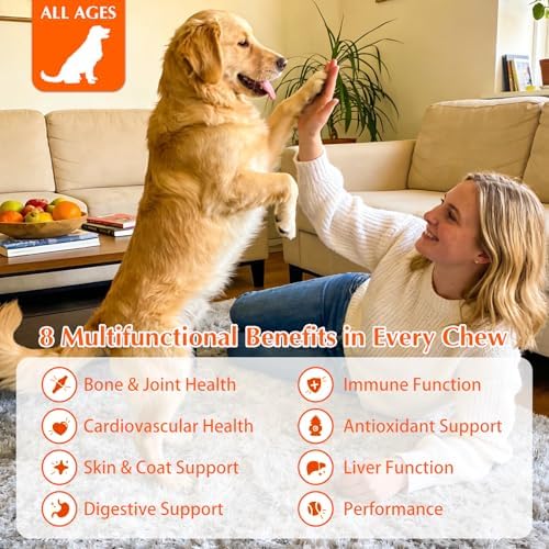120 Dog Multivitamin Chews, Glucosamine Chondroitin Joint Support
