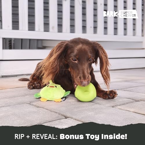 BarkBox Piper Parrot Dog Toy - for Small Dogs | Perfect for Flipping Fun and Tearable Outer Layer with Bonus Toy Inside for Extra Playtime Excitement