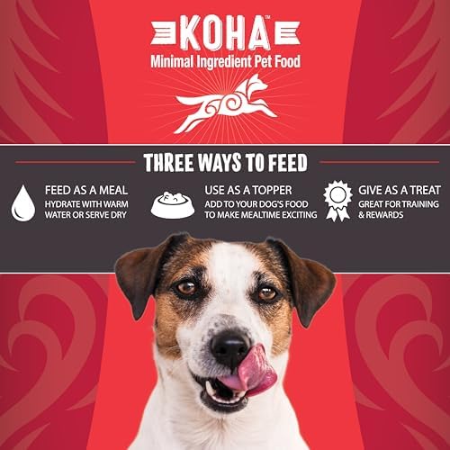 KOHA Raw Life Freeze-Dried Raw Bites Beef for Dogs, High Protein Meal, Topper, and Treat for Picky Eaters, 14oz Bag