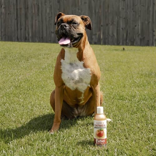 Jeffers Pet Tearless Baking Soda Deodorizing Shampoo for Dogs & Cats, 17 oz - Concentrated Baking Soda & Aloe Vera Formula with Baby Powder Fragrance, Moisturizing Shampoo for Professional Grooming
