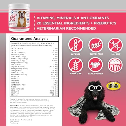 Vital Planet - Vital Dog Multi Vitamin Powder Supplement for Everyday Health with Vitamins, Minerals and Antioxidants for Dogs - Beef Flavored Powder, 30 Servings, 75 Grams