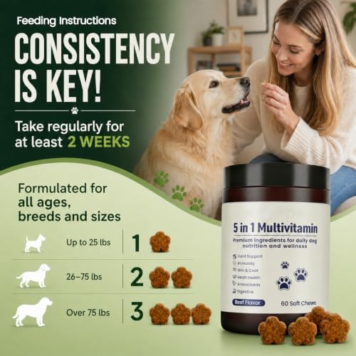 Multivitamin Daily Soft Chews for Dog, 5 in 1 multivitamin for Hip & Joint, Heart Health, Skin & Coat, Gut & Immune Support, with Probiotics, Vitamin A/D3/E, Beef Flavor, 60 Chews (1)