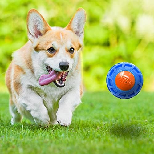 3in TPR EXO Squeak Ball - Blue/Orange