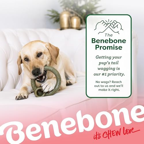 Benebone Ring Dog Chew Toy for Aggressive Chewers, Peppermint, Medium | Durable, Super Chewer, Made in USA, Dog Bones, Long-Lasting, A Size for Every Dog, Keeps Them Busy