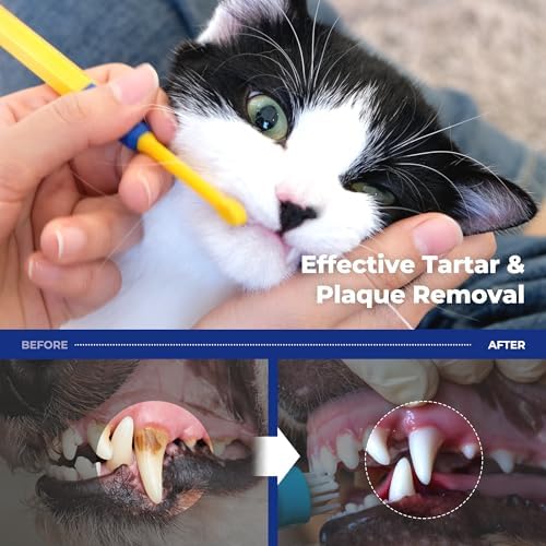 PETHROOM] Pet Dental Toothbrush for Cats and Small Dogs - Soft Bristle Deep Cleaning, Toothbrush Set for Dogs & Cats – Ultra-Fine Bristles for Precise Dental Care (Deep Point/Extra Small)