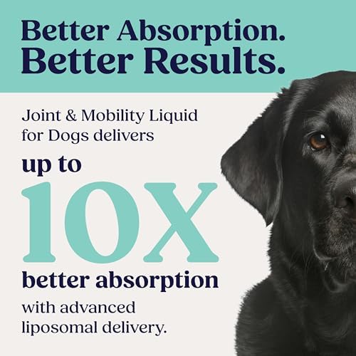 Summit Canine Joint and Mobility Supplement for Large Dogs, All Natural Liquid Chondroitin with Liposomal Delivery for Arthritis, Hip & Joint Support Vitamin, (Dogs 75+lbs)