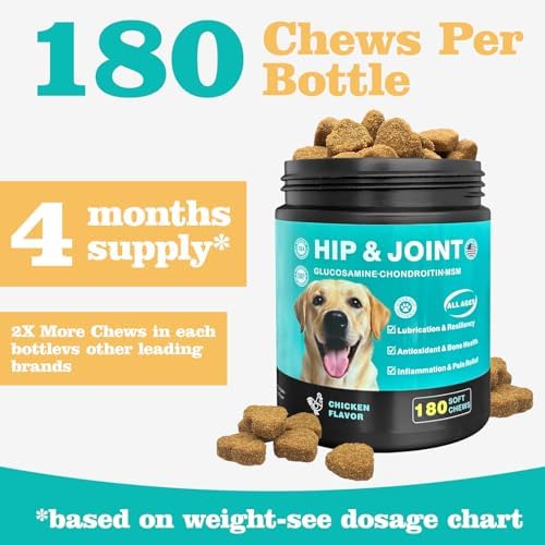 Dog Hip & Joint Supplement – Glucosamine for Dogs Chews with Chondroitin & MSM, Advanced Joint Support for Large & Senior Dogs, Supports Mobility & Everyday Comfort – 180 Count
