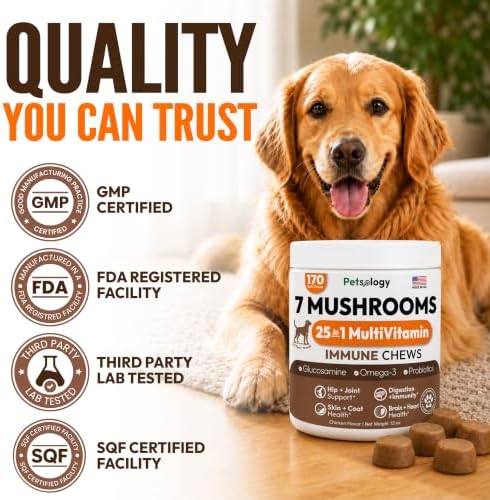 Turkey Tail Mushroom for Dogs - 170 Chews - Lion's Mane, Shiitake & Reishi | Buddy Immune Support Guard - Mushroom Supplement for Dogs Lumps & Bumps - Glucosamine, Health Vitamins & Multivitamin