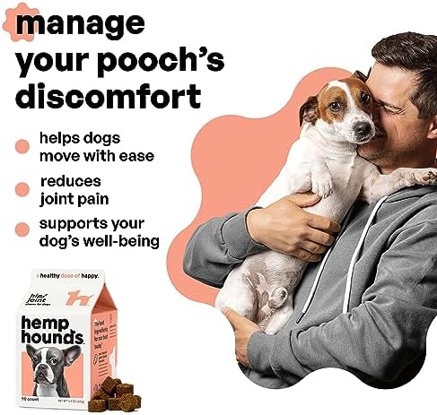 Adaptogenic Joint Supplement for Dogs- Glucosamine Chondroitin for Dogs with Green Lipped Mussels - MSM - 90 Chews - Dog Pain Supplement - Inflammation Relief Chews - Beef Liver Flavor