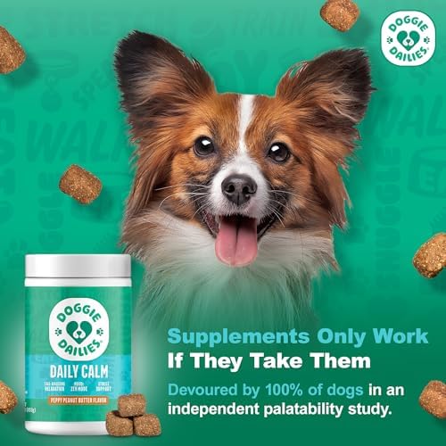 Doggie Dailies Calming Soft Chews for Dogs, Peanut Butter, 225-Pack, 225 Count