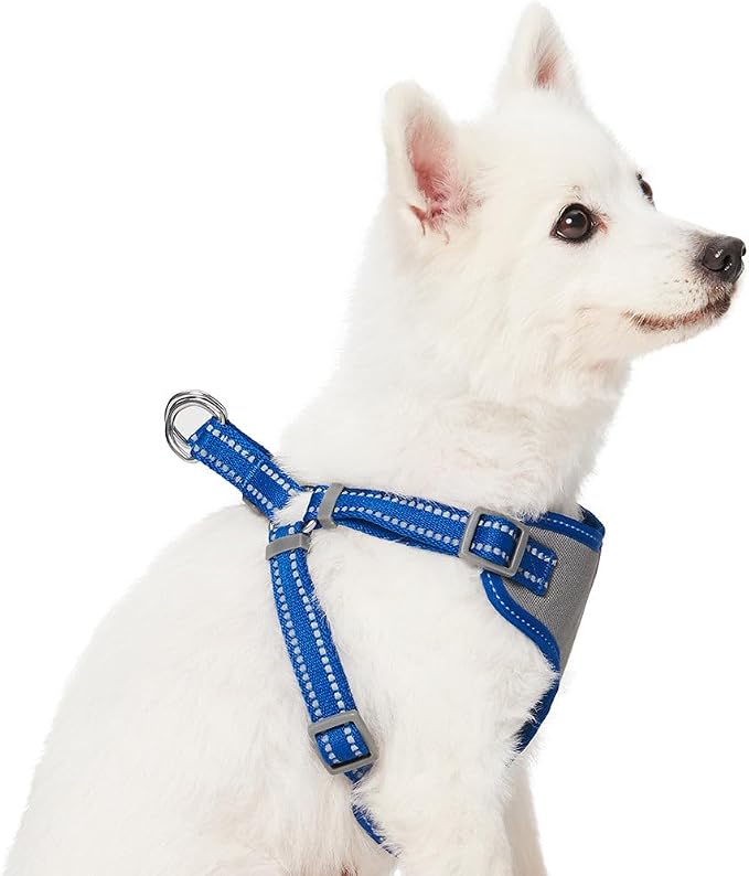 Blueberry Pet Matching Reflective Harness and Leash Set | Adjustable Pastel Vest with Lead for Dogs – Great Value Gift Set | Adjustable Navy Vest for Medium Breeds