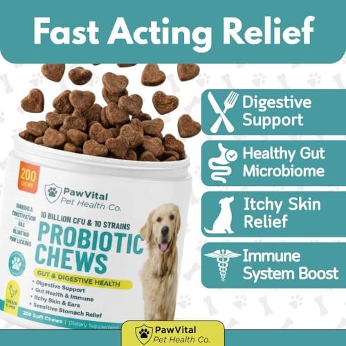 Dog Probiotic Chews for Digestive Health – Probiotics for Dogs with 10 Billion CFU, Prebiotics, Digestive Enzymes – Gut Health, Yeast, Itchy Skin & Itchy Ears – Diarrhea & Constipation – 200 Chews