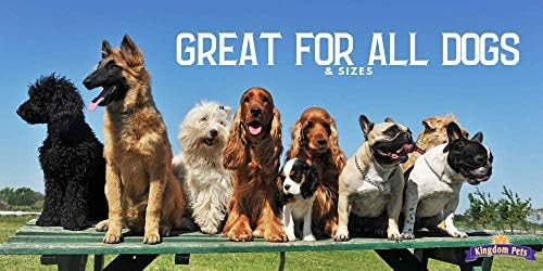 Filler Free Chicken Jerky & Sweet Potato Twists, Premium Treats for Dogs, 48-ounce bag