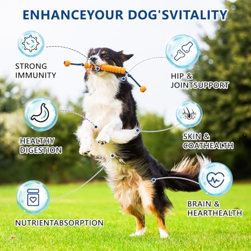 Dog Multivitamin, 40-in-1 Dog Vitamins and Supplements Chewable Contain Probiotics Omega-3 Glucosamine, Multivitamin for Dogs Skin Coat Heart Joint Liver Brain Eyes Immune Support (200ct)
