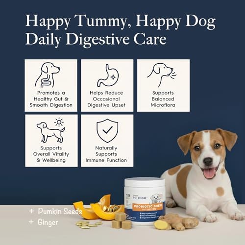 Oraticx PetBiome Probiotic Chew for Dogs - Supports Daily Digestive Health, Gut Balance, and Immune System - with Ginger Root, and Pumpkin Seed - Chicken Flavor, 90 Soft Chews