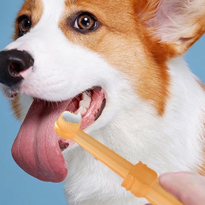 Abaodam PET Toothbrush Set for Dogs and Cats Portable Silicone Toothbrushes with Plaque Removal Features for Oral Care