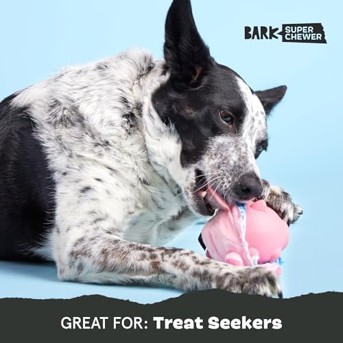 BarkBox Hambone Super Chewer Tough Dog Chew Toy - Toy for Large Dogs | for Aggressive Chewers, Plush Cover with Rubber Core - 2 Toys in 1 - Two Layer Treat Dispensing Dog