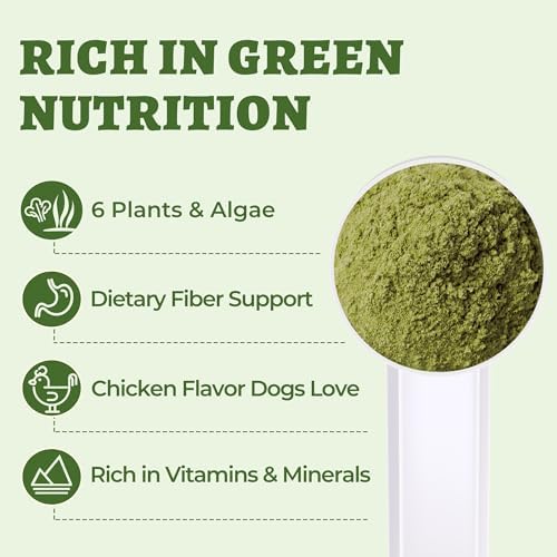 Wellix 7.02oz Super Greens Powder with Organic Spirulina, Chlorella&Spinach