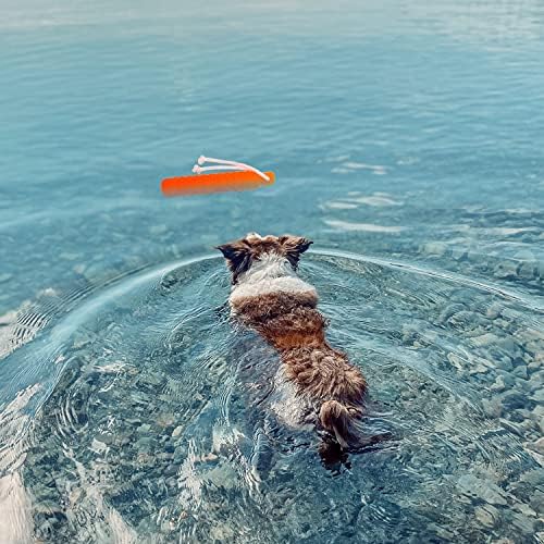 Floating Dog Water Toys, 2 Pack Interactive Pool Fetch Bumper | Outdoor Retrieving & Chasing Dummy Pet Toy with Rope for Small to Large Dogs