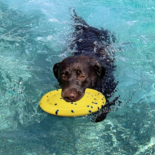 BABORUI Floating Dog Pool Toy, Blue Ring & Yellow Plate