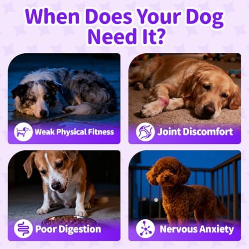 Dog Multivitamin Powder – Calm, Repair, Joint & Gut, Beef, 75 Scoops | Dog Vitamins and Supplements for Nighttime Repair for Homemade Food with Collagen, Glucosamine, GABA, Probiotics