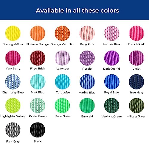 Blueberry Pet Essentials Matching Large Dog Collar | Adjustable Classic Solid Color Nylon Dog Collars for Large Dogs | Orange Vermilion Dog Collar for Large Dogs