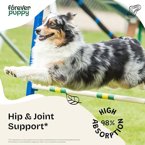 Forever Puppy Hip & Joint Drops for Dogs - Turmeric & Devil's Claw - 2 oz