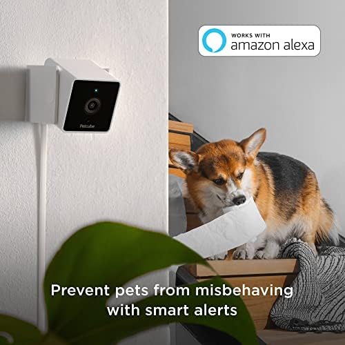Petcube Cam (2-Pack) – Indoor Wi-Fi Home Security Camera with App