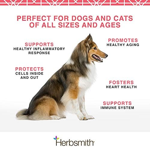 Herbsmith Pure Krill - Wild-Caught Antarctic Krill - Just 1 Ingredient - Astaxanthin for Dogs - Ready-to-Use Omega 3s – Alternative to Krill Oil for Dogs - 75g