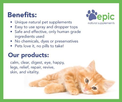 Calm - Natural Odorless Calming Sprays Made for Dogs and Cats that Promotes Calm and Relaxed Behavior. Made in USA (Dropper, 1 Ounce)