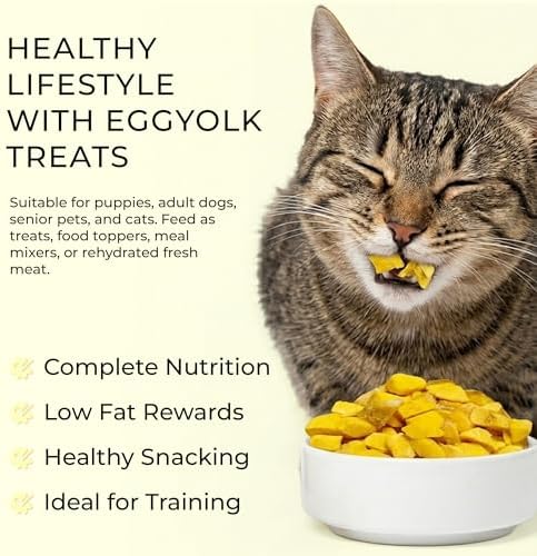 BLACK FOX Freeze-Dried Egg Yolk Treats for Dogs & Cats - 4oz