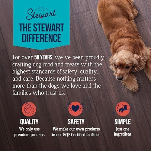 Stewart Freeze Dried Dog Treats, 100% Chicken Breast, 14.8oz Tub (2 Pack)