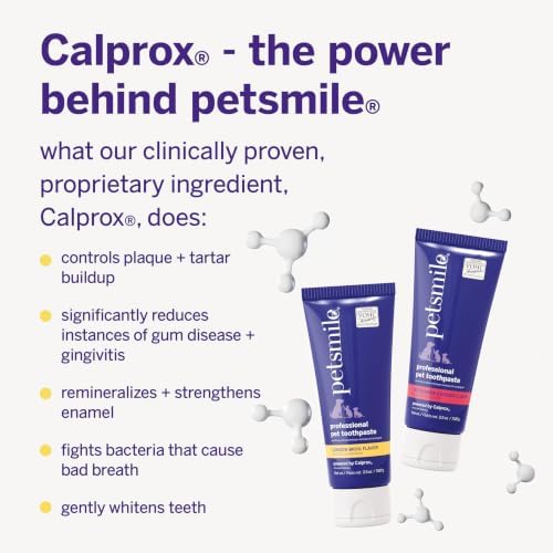 Petsmile VOHC Accepted Pet Toothpaste, London Broil 2.5 Oz, Cats + Dogs | VOHC Accepted, Calprox® Powered, Fights Plaque + Tartar, No-Brush Required, Human-Grade, 4-Month Supply, Clinically Proven