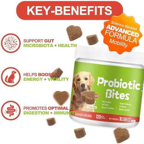 Probiotics for Dogs - Chicken Flavor Dog Probiotic Soft Chews for Digestive Health, Gut Support, & Immune Boost with Digestive Enzymes & Prebiotics - 120 Chews for All Breeds & Ages