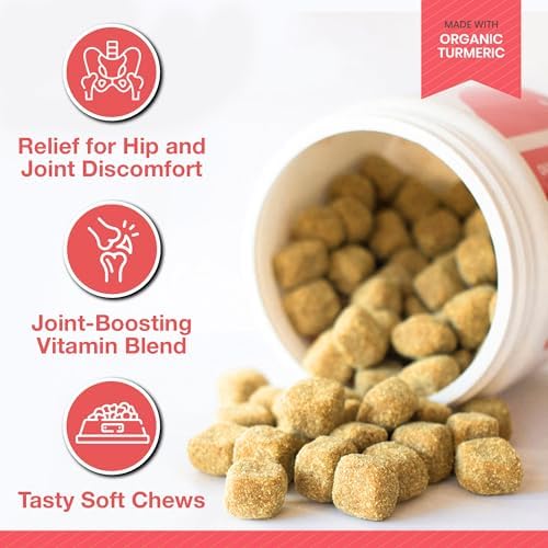 Arthritis Dog Joint Chews| Glucosamine, Chondroitin, Omega-3| MSM Support for Healthy Joints| 120ct Veterinarian Formulated Soft Chews| Up to 4-Month Supply