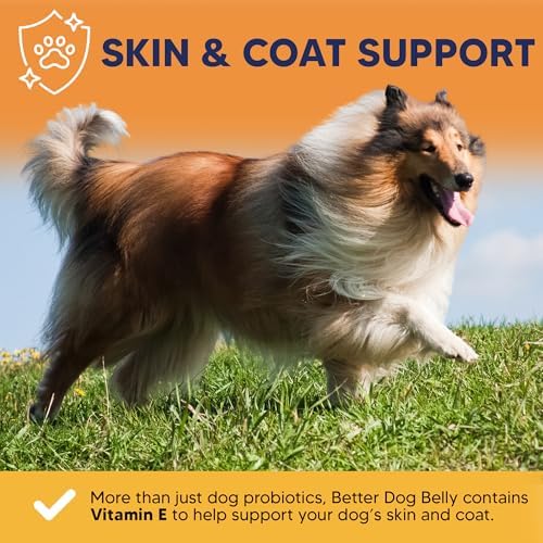 Better Dog Belly Probiotic Supplement for Digestive Health, Powder Prebiotics & Probiotics for Dogs, Supports Gut Health & Balanced Pet Nutrition, 8 Oz Bag