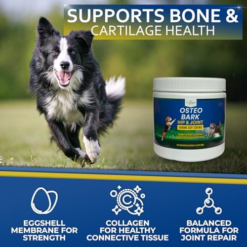 Osteo Bark Hip & Joint Canine Soft Chews, 60 Count, Bone and Joint Support for All Dog Breeds - Glucosamine & Chondroitin Chews with MSM - Pain, Inflammation, Arthritis