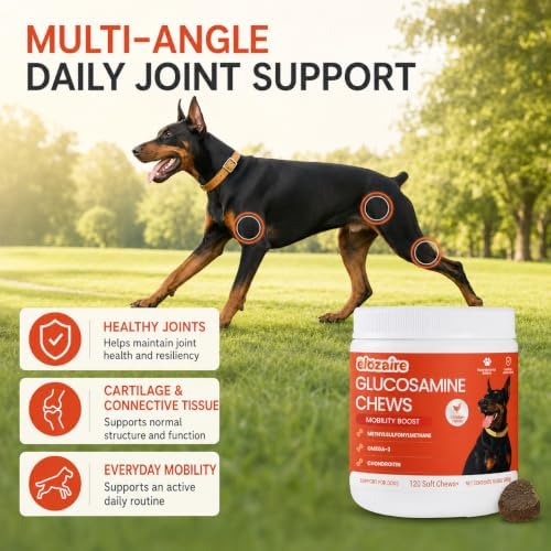 Senior Dog Joint Supplement Chews, Glucosamine MSM Chondroitin, 120ct