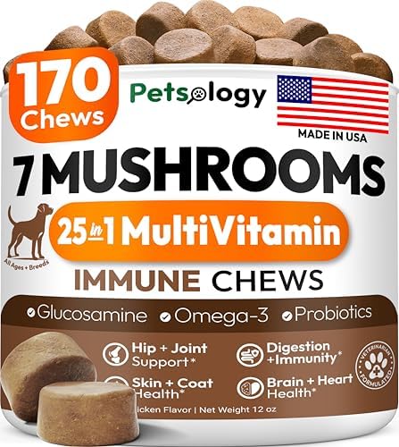 Turkey Tail Mushroom for Dogs - 170 Chews - Lion's Mane, Shiitake & Reishi | Buddy Immune Support Guard - Mushroom Supplement for Dogs Lumps & Bumps - Glucosamine, Health Vitamins & Multivitamin