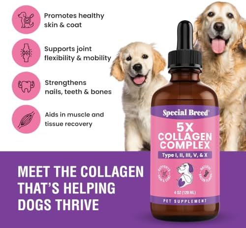 Premium Collagen for Dogs - Liquid Support for Joints, Skin, Coat, Bone, Immune System & HIPS - Collagen Supplement - Made in USA - Bacon Flavor - 4oz